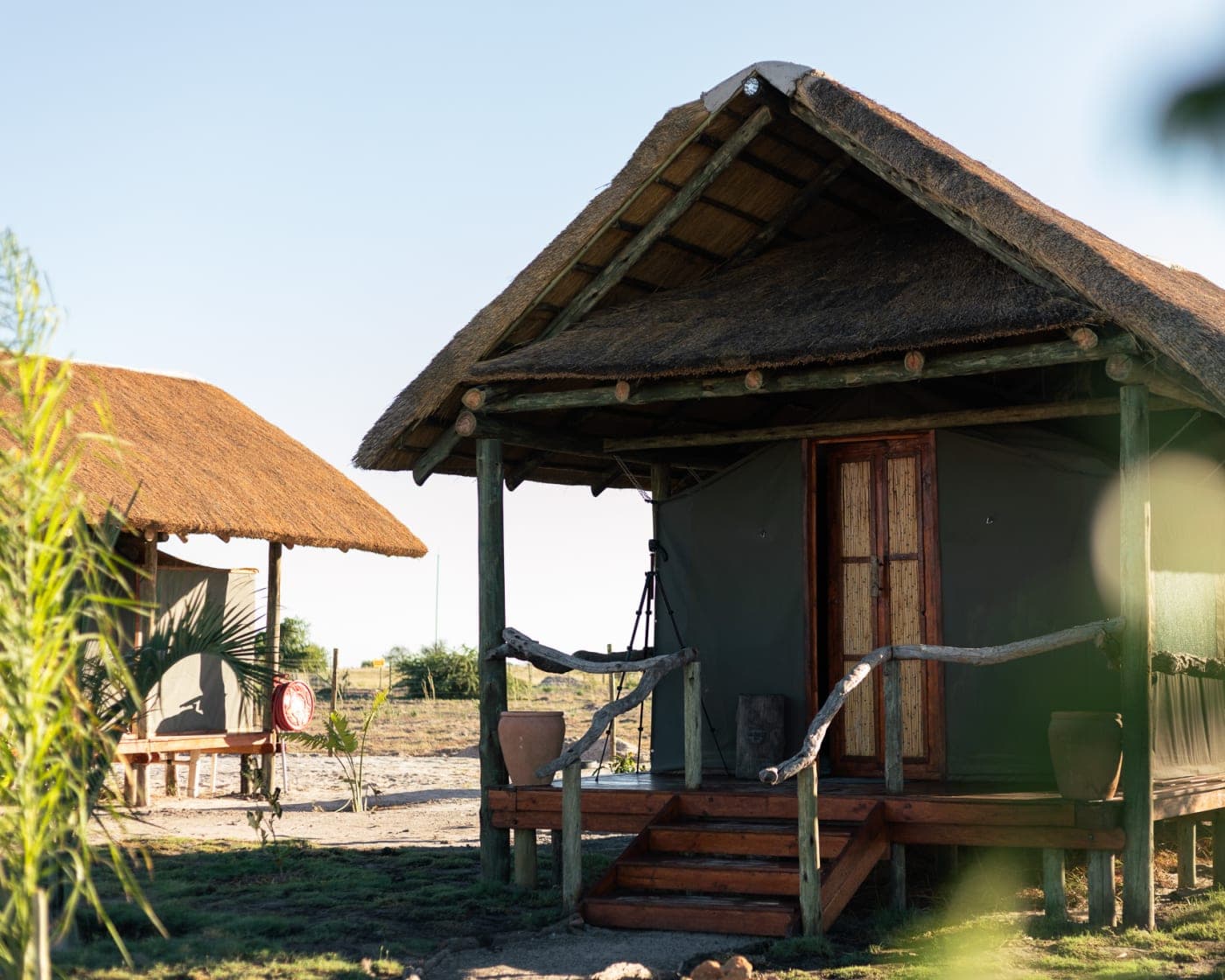 A tented room on wooden decking at Munga Plains