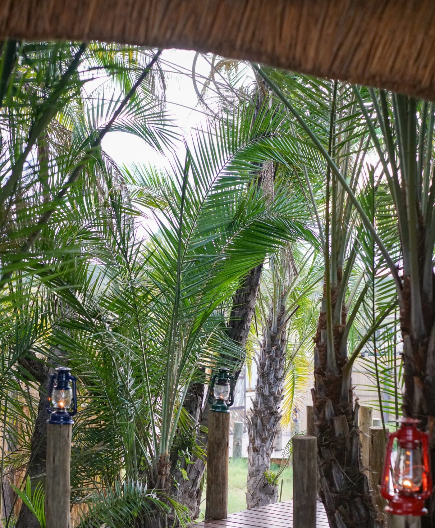 Back of the main area