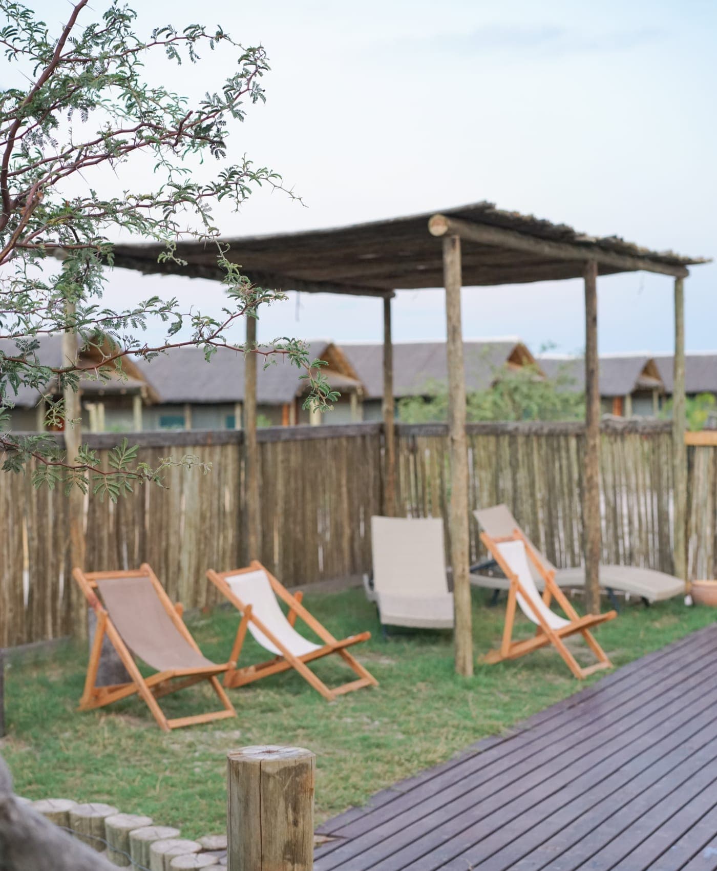 Pool lounges facing the plains