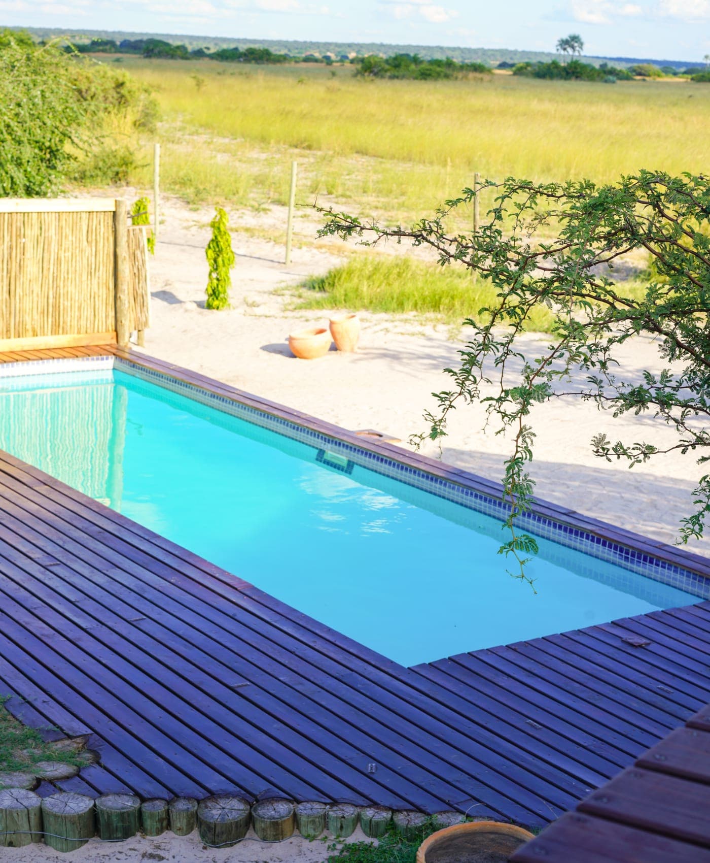 The swimming pool at Munga Plains
