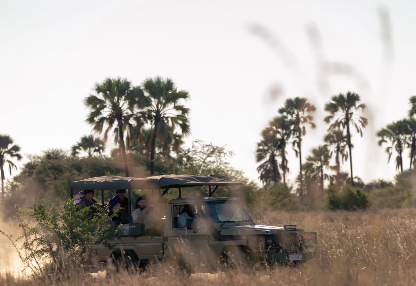 Mobiles Safari-Camp in Botswanas Wildnis