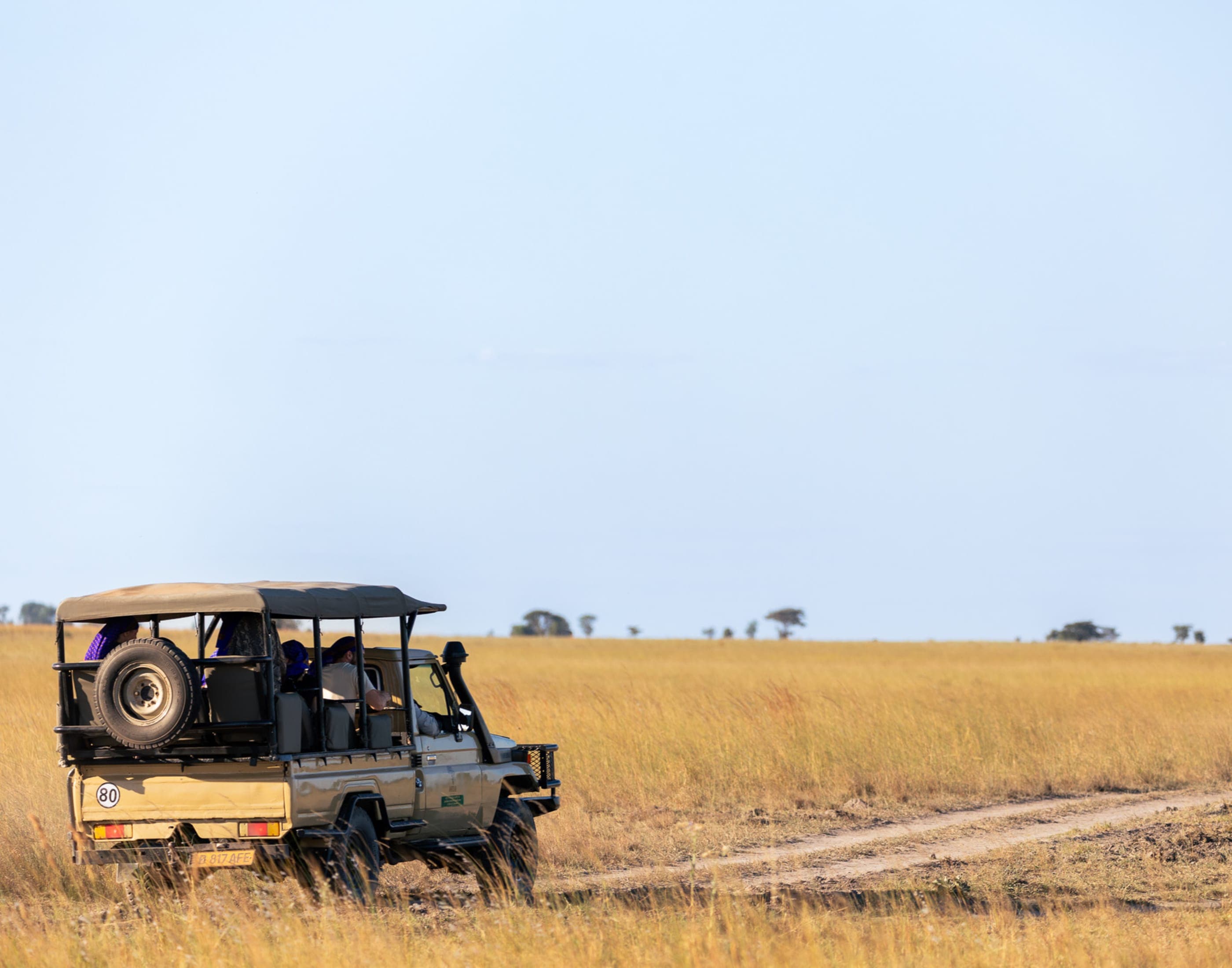 A path through the bush