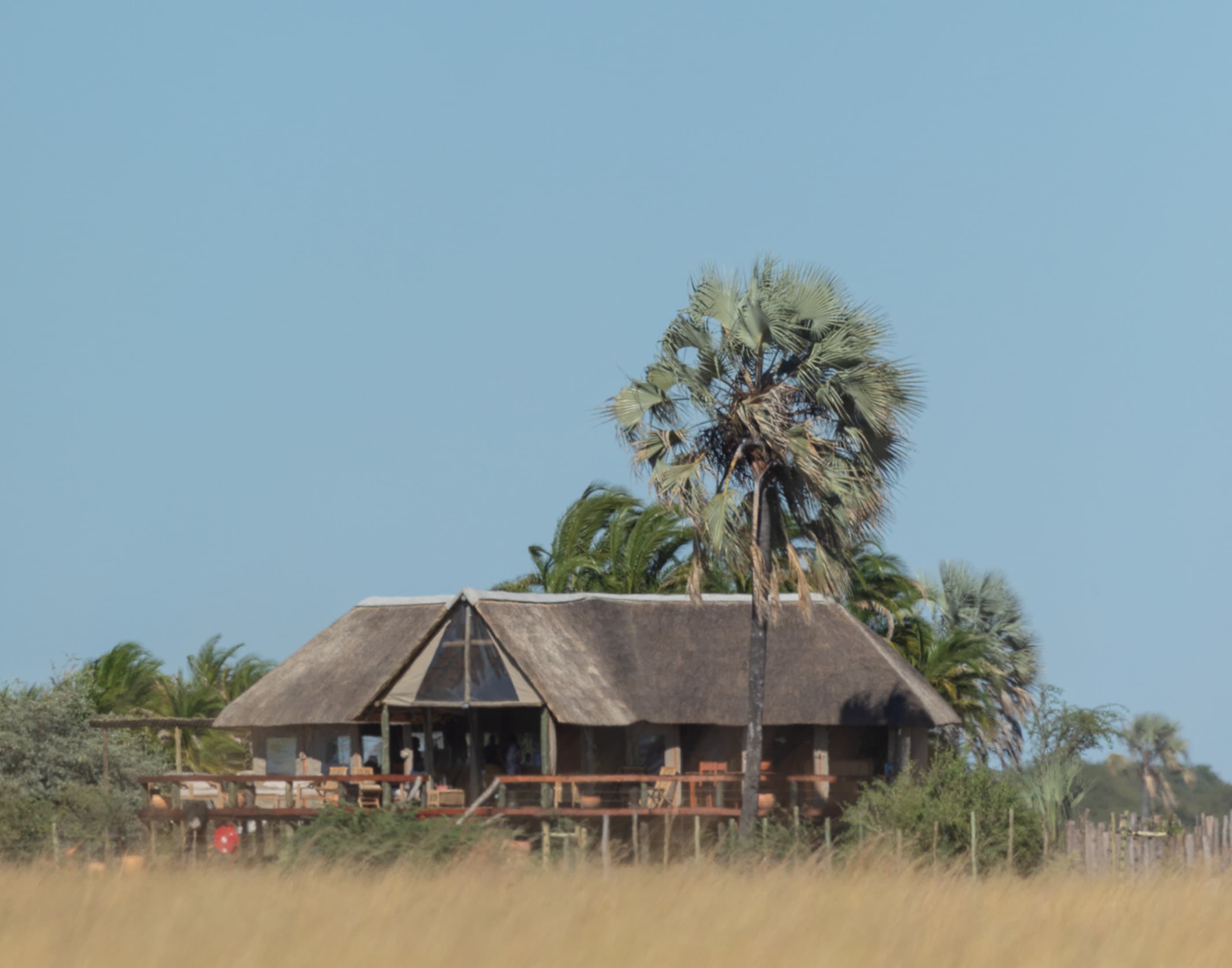 The Munga Plains camp at golden hour